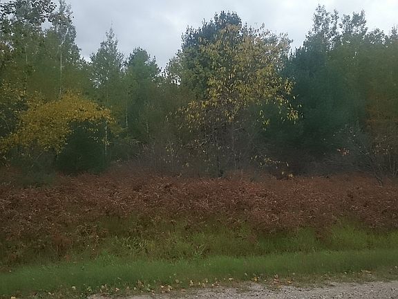 2nd image of Wildwood Dr