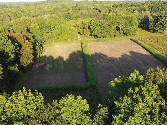 2nd image of Lot 1 340th Avenue
