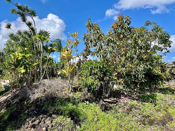 4th image of Hokulani St Lot 81