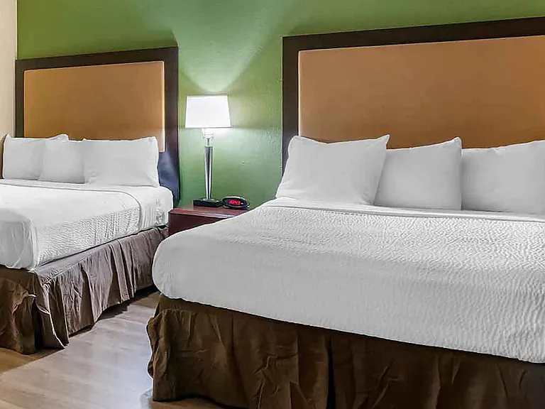 Studio Suite - 2 Full Beds