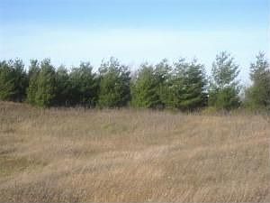 3rd image of N7566 State Road 120