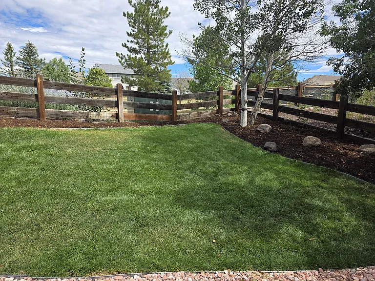 Back yard - left side