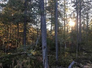 County Road 607, Michigamme, MI 49861