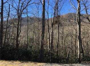 99999 Maryland Pl, Montreat city, NC 28711