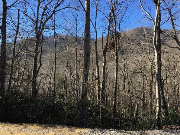 99999 Maryland Pl, Montreat City, NC 28711