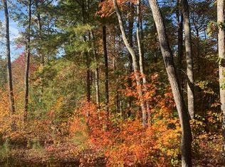 LOT 46 Foxridge Ct, Ellijay, GA 30540