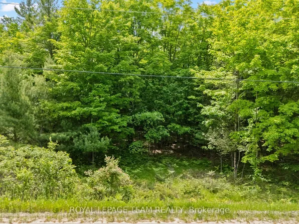 0 Maple St, Lanark Highlands, ON K0G 1M0