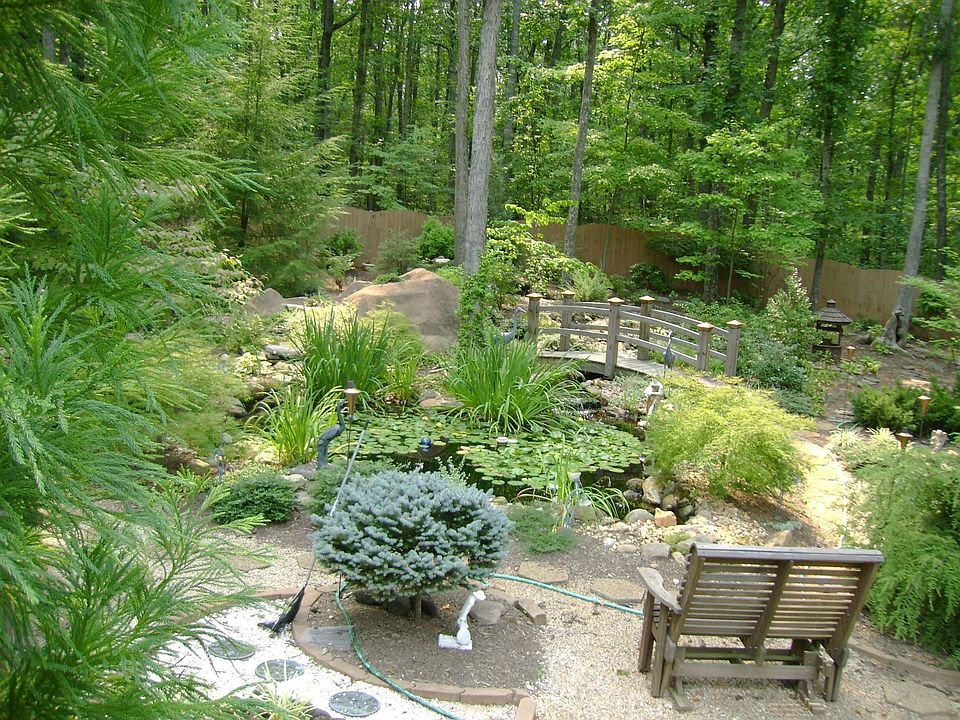 Back Yard and Rock Pond