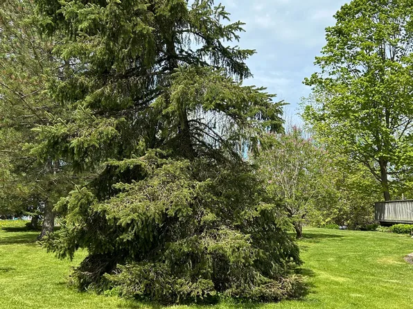 13 Pollard Dr, Meaford, ON N4L 1A7