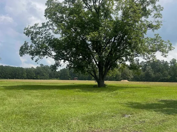TBD Gurley Rd. #Tract B1, Loris, SC 29569