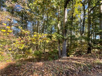 TRACT Vine Rd #C, Westminster, SC, 29693