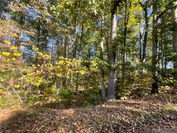TRACT Vine Rd #C, Westminster, SC 29693