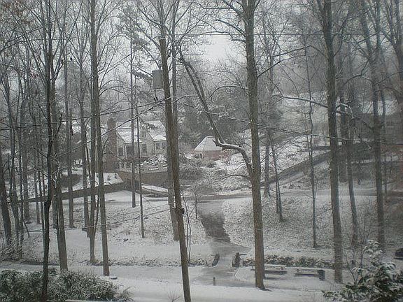 back park view December 2010