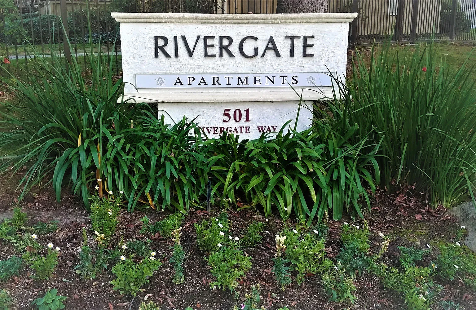 Rivergate Apartments — Photo 1