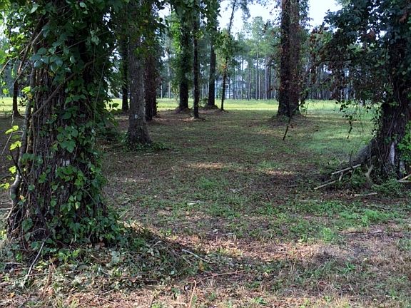 3rd image of 1953 Sweet Olive Ln