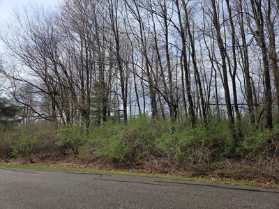 14877 Glastonbury Dr, Gowen, MI, 49326