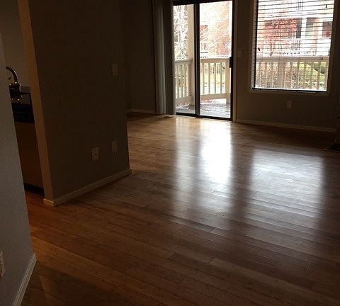 Bamboo hardwood floors