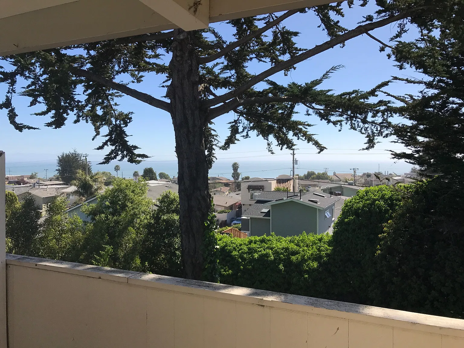 2 bed, 750 sqft, $2,900 — Photo 2