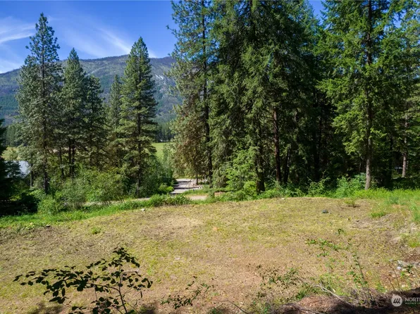 70 Chechaquo Ranch Road, Mazama, WA 98833