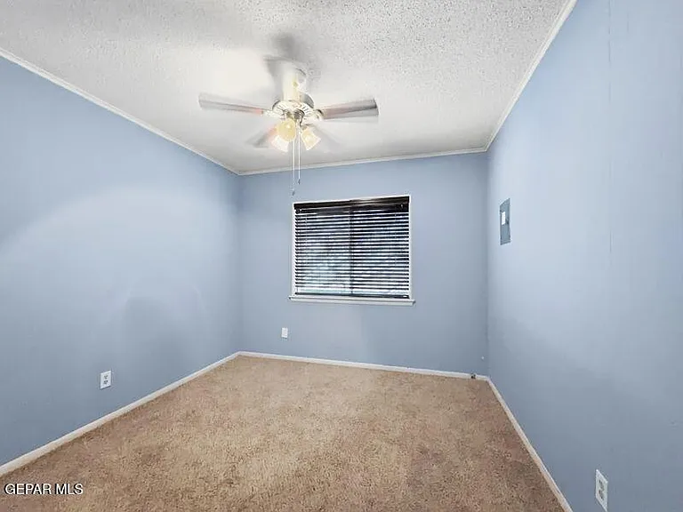 921 Olive Ave — Photo 22