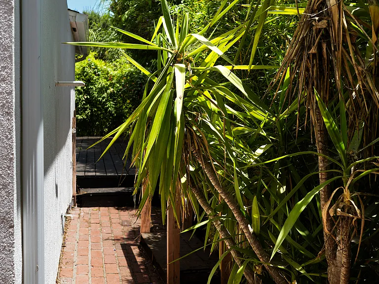 181 Alvarado Ave — Photo 19