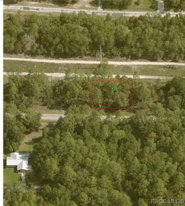 2631 W Royal Palm Dr, Citrus Springs, FL, 34434