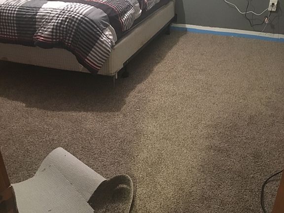 Master bedrm 12x12 newcarpet