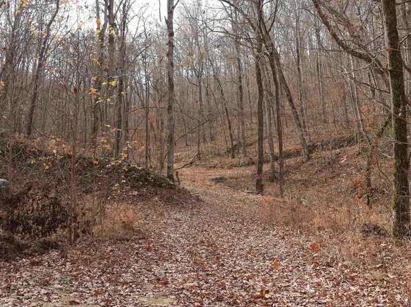 (undisclosed Address), Mountain View, AR 72560