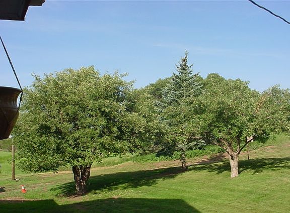3rd image of 363 Huajatolla Vly Est Dr
