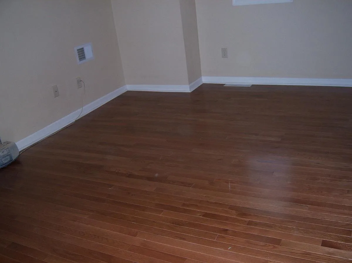 3 bed, 1244 sqft, $1,200 — Photo 4