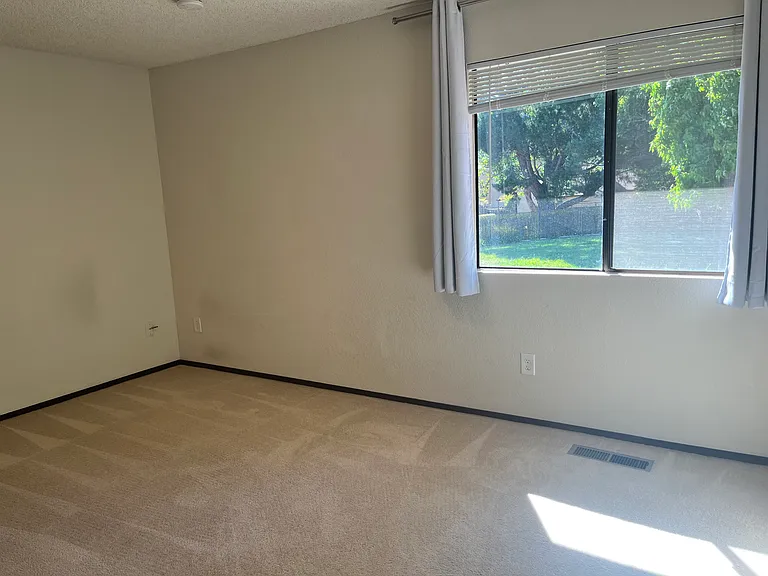 161 Peach Ter — Photo 25