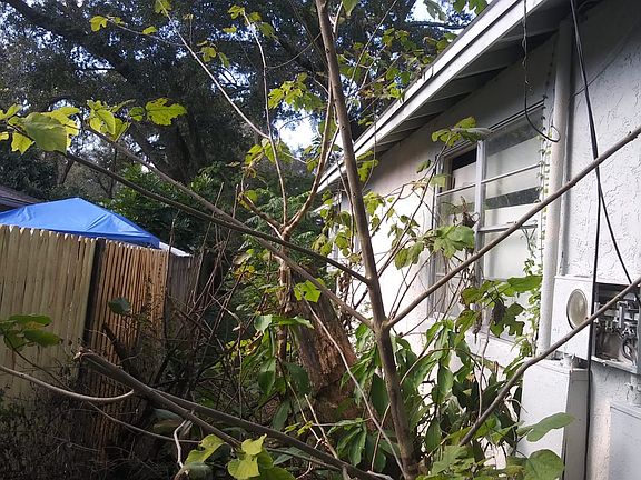 3rd image of 8118 N 12th St