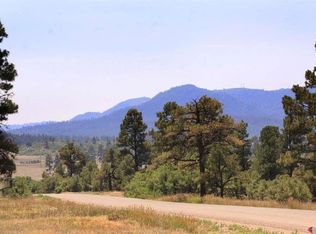 445 & 478 Bonanza Ave, Pagosa Springs, CO 81147
