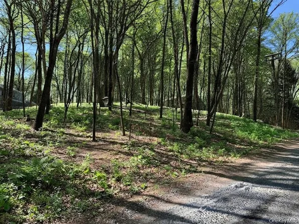 Lakeview Drive, Pawling, NY 12564