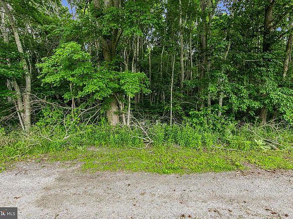 3rd image of Lots 3 & 4 Bell Ln