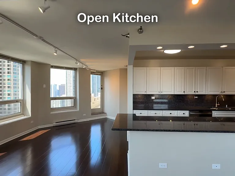 745 N Rush St #3203 — Photo 4