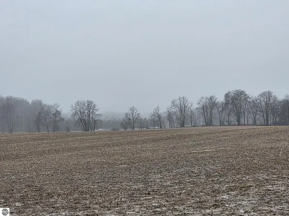 4191 W Baseline Rd, Mount Pleasant, MI 48858