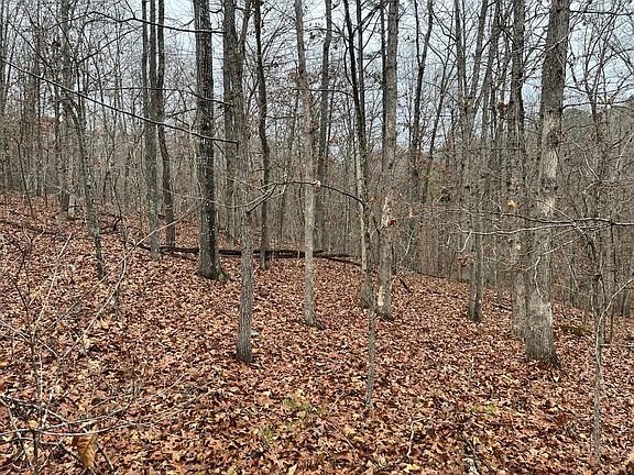 2nd image of 0 Madison 244/county Rd #224