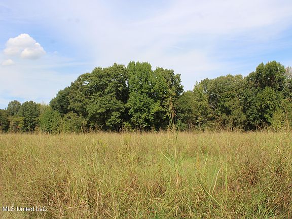 3rd image of 5 Star Landing Rd