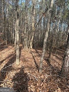 2nd image of 0 Hillview Rd