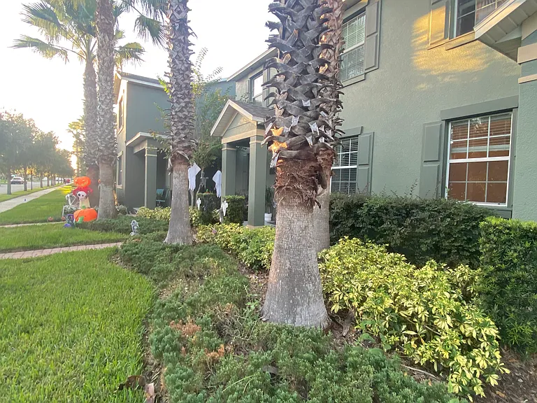 14849 Driftwater Dr — Photo 3