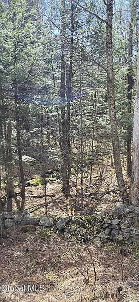 3rd image of L45 Jacobs Ladder Road
