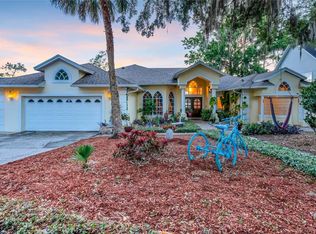 2506 Johio Shores Rd, Ocoee, FL 34761