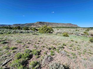 10 Conejos Ave, Antonito, CO 81120