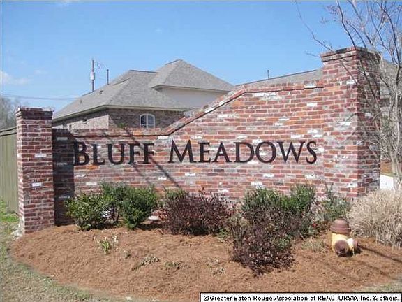3rd image of 36128 Bluff Meadows Dr