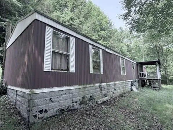 58 Smokey Branch Rd, Danese, WV 25831