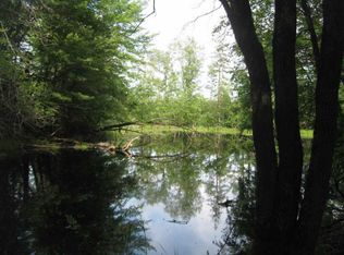 40 Acres W411 Trout Ave, Rib Lake, WI 54470