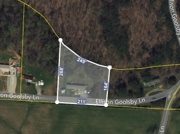 426 Ellison Goolsby Ln, Bloomington Springs, TN 38545