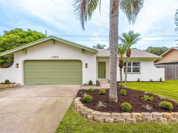 11709 Cypress Park St, Tampa, FL 33624