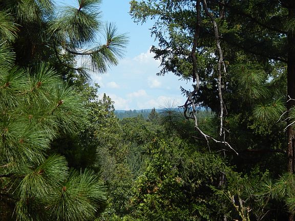 3rd image of Canyon Creek Road